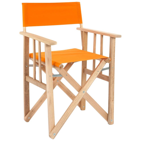 Roselyn Folding Director Chair