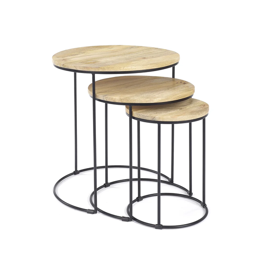 Raegan 3 Piece Nest of Tables