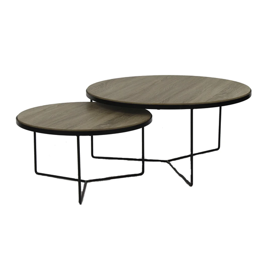 Trowbridge 2 Piece Coffee Table Set