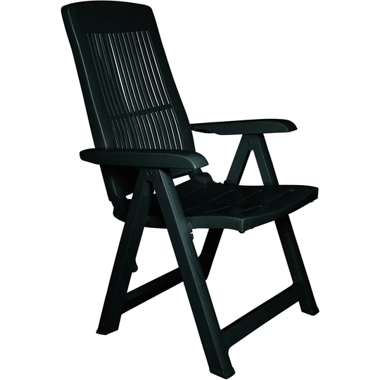 Altje Plastic/Resin Folding Chair