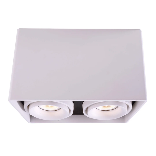 Mona 2-Light LED Flush Mount