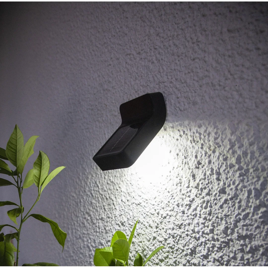 Lieb 4-Light LED Outdoor Wall Light