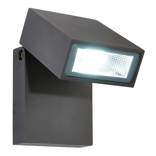 Rubinstein 1 Light Outdoor Sconce