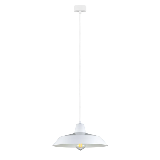 Cinco 1 -Light Dome Pendant with Wrought Iron Accents