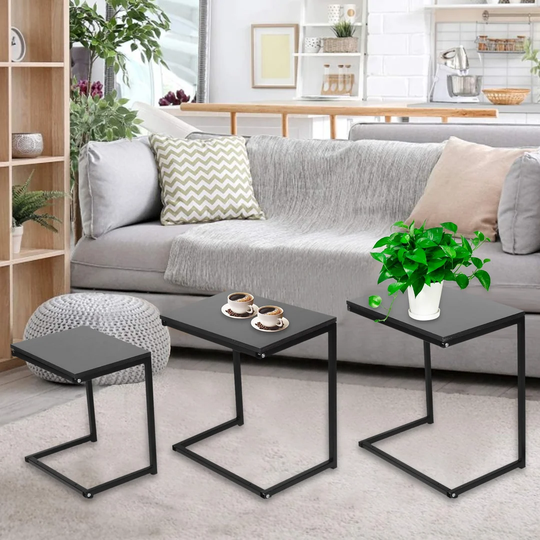 Elselotte 3 Piece Coffee Table Set
