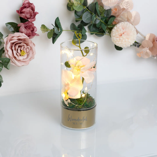 Schuh Orchid Flowers - Mum Night Light