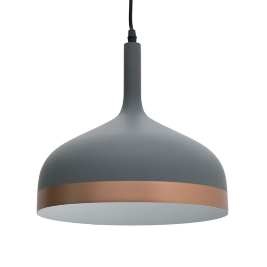 Thisnes 1 - Light Single Dome Pendant with Wrought Iron Accents