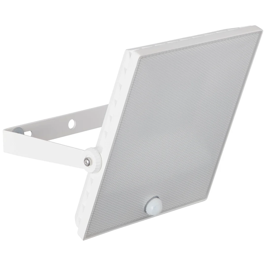 Birch 1-Light LED Area Light with Motion Sensor