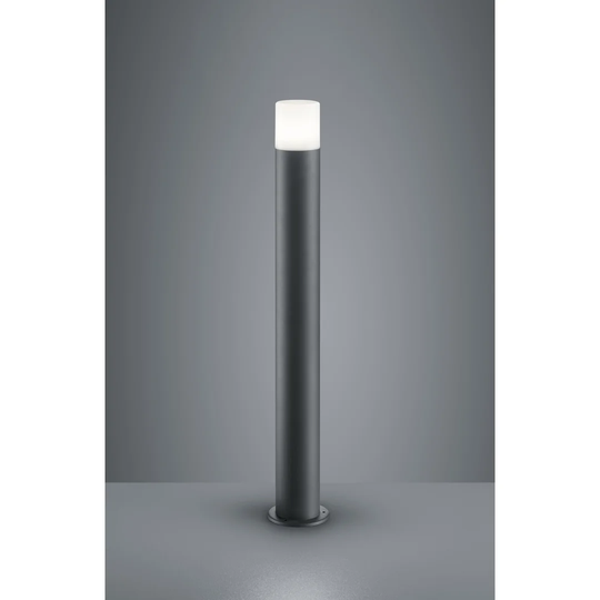 Goodlett 1 Light Pathway Light
