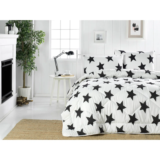 Quilt Set with 2 Pillows