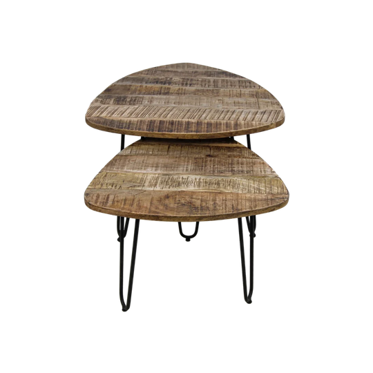 Novalee 2 Piece Side Table Set