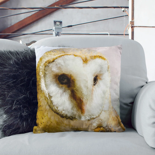 Barn Owl Vol.2 Painting Scatter Pillow