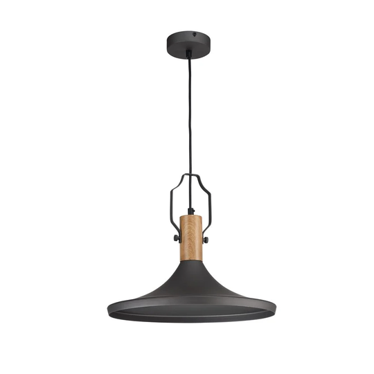 Dwayne 1 - Light Dome Pendant with Wood Accents