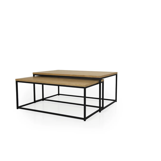 Barham 2 Piece Coffee Table Set
