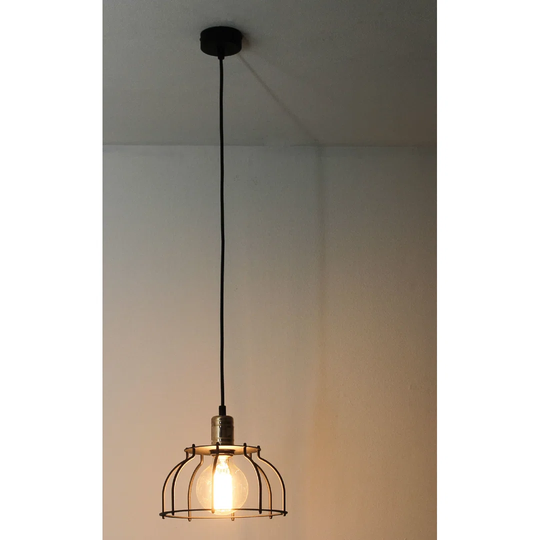 Anastasia 1 Light Dome Pendant