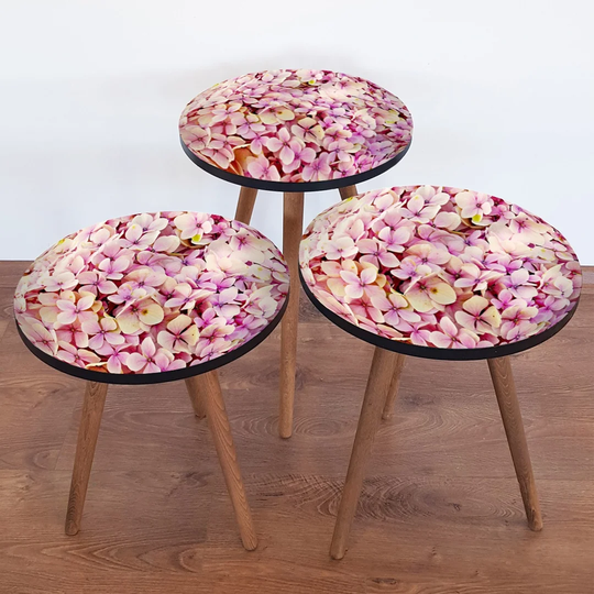 Dian 3 Piece Nest of Tables
