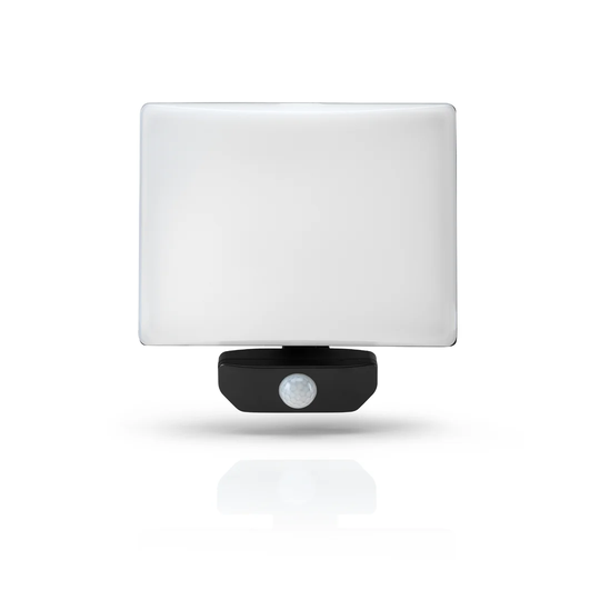Ridgeley LED Flood Light with Pir