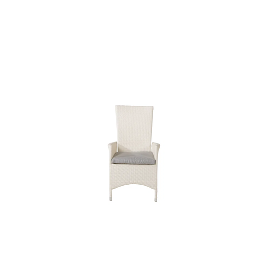 Mabton Reclining Garden Chair with Cushion
