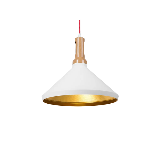 Raven 1 - Light Cone Pendant