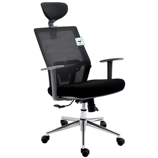 Mesh Executive Chair