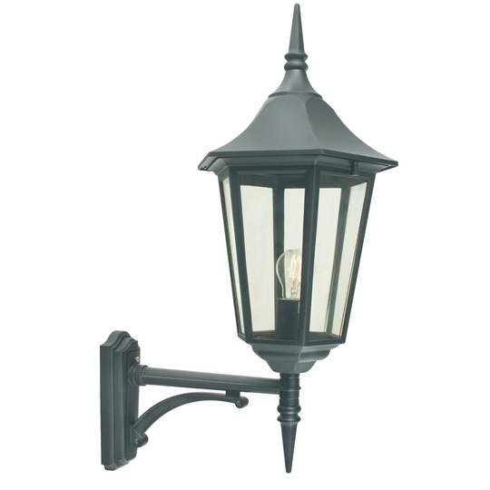 Aelia 1 Light Outdoor Wall Lantern