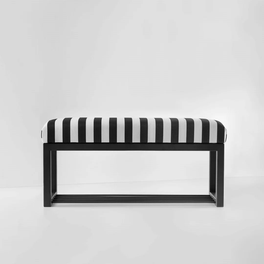 Eragon Upholstered Storage Bench