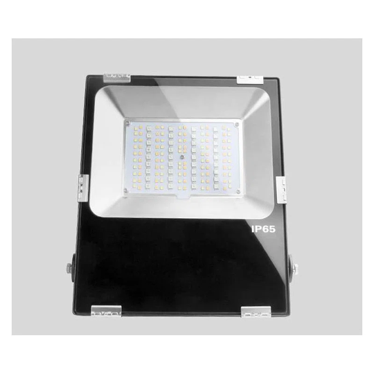 Carnageeragh Extra Flat Flood Light