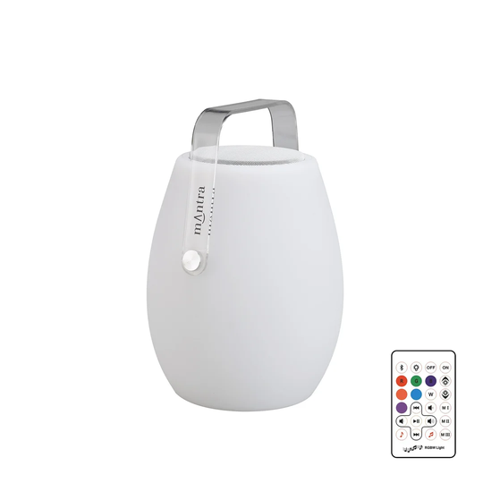 Phanto 1 Light LED Decorative and Accent Light