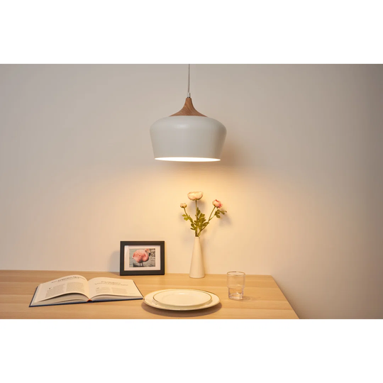 Sherwood 1 - Light Single Dome Pendant