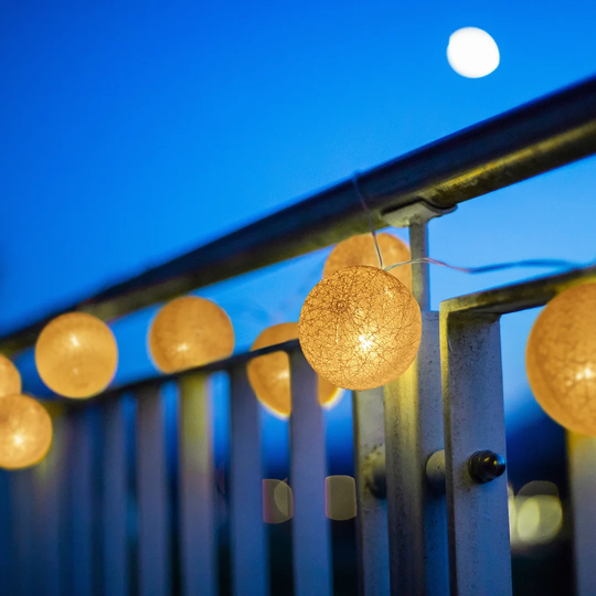 Fishback 20 Light Novelty String Lights