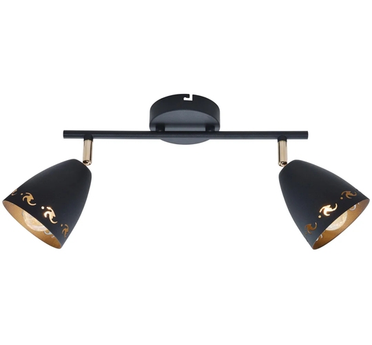 Coty 2-Light Wall Spotlight