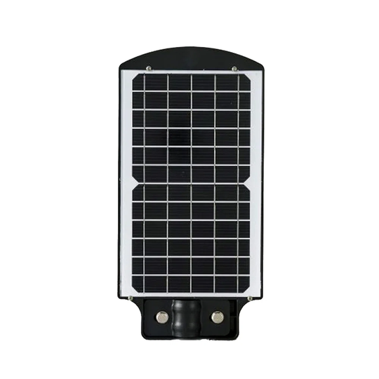 Antionetta Solar LED Flood Light