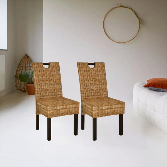 Dining Chair 2 Pcs Kubu Rattan Mango Wood