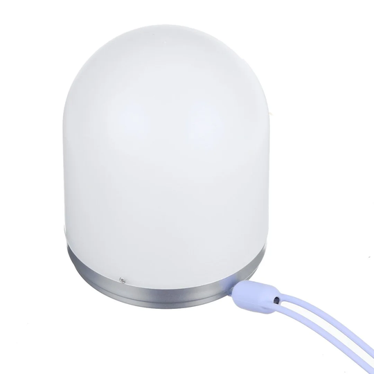Reinhart Night Light