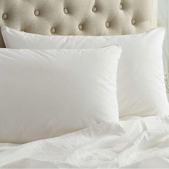 Feathers L74 x W50cm Firm Support Pillow