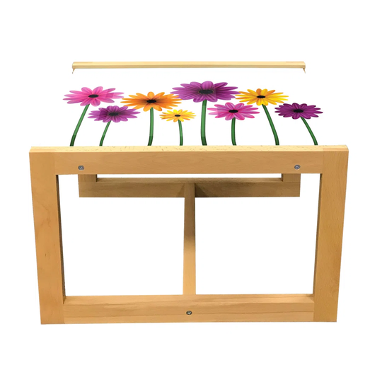 Gerber Daisy Coffee Table, Simplistic Colorful Spring Flowers With Peduncles Graphic On Plain Background, Acrylic Glass Center Table With Wooden Frame