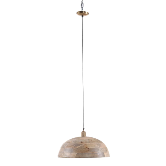 Vandalia 1-Light Dome Pendant Light