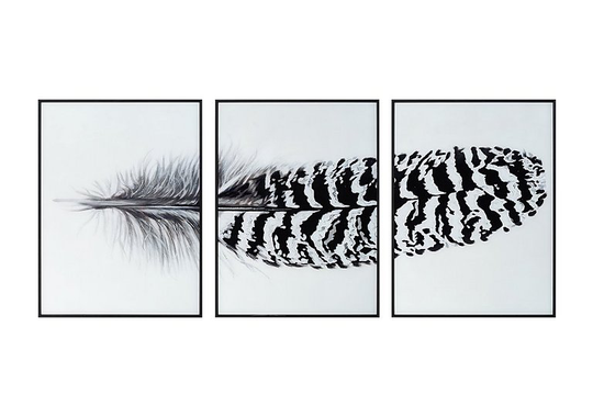 Striped Feather Glass Picture 3