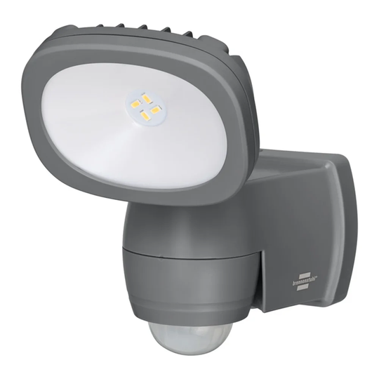 Flood Light