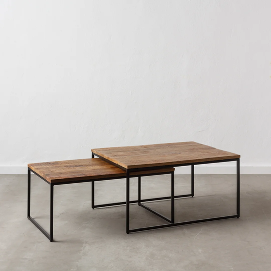 Tahmina 2 Piece Coffee Table Set