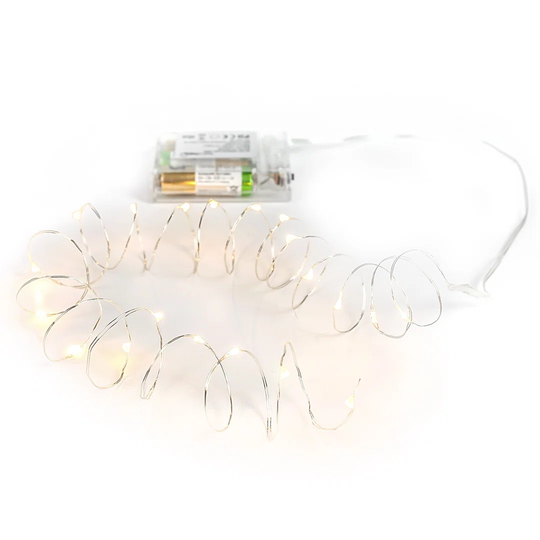 Favreau 20 Light LED Fairy Lights