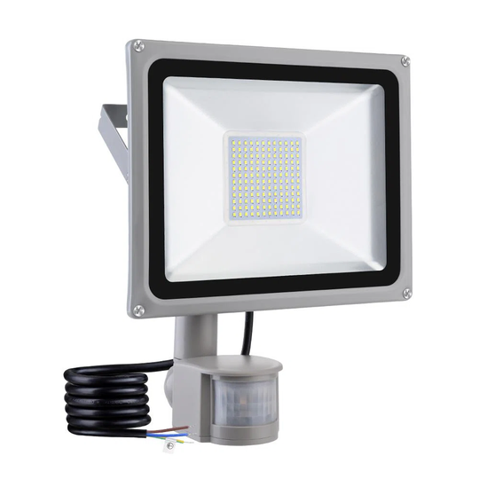 Alyani Flood Light