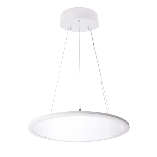 1-Light LED Novelty Pendant