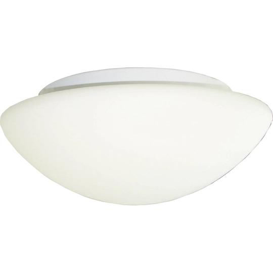 1 Light Ceiling Light