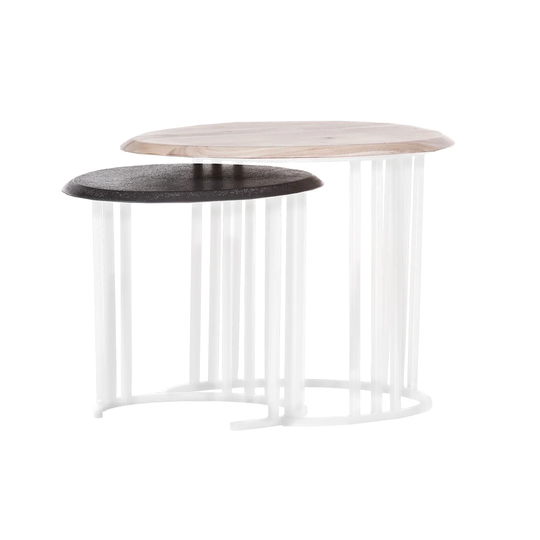 Darcelle 2 Piece Nest of Tables