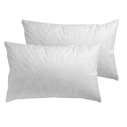 Duck Feather and Down Set of 2 Pillows