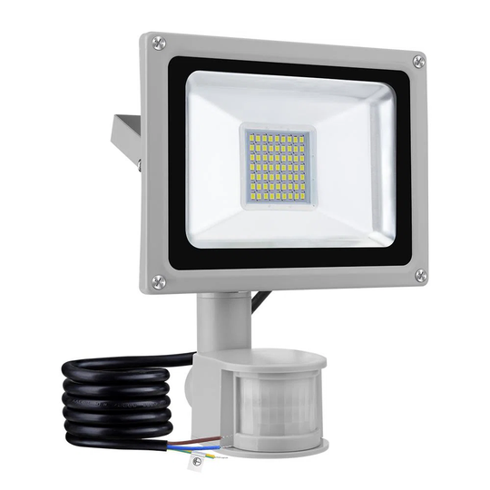 Ancilla Flood Light