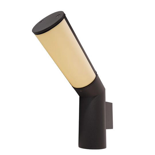 Talli LED Outdoor Sconce