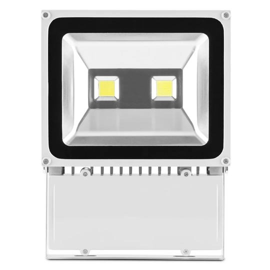 Lightcraft Alphalux Snow 1 Light LED Flood Light