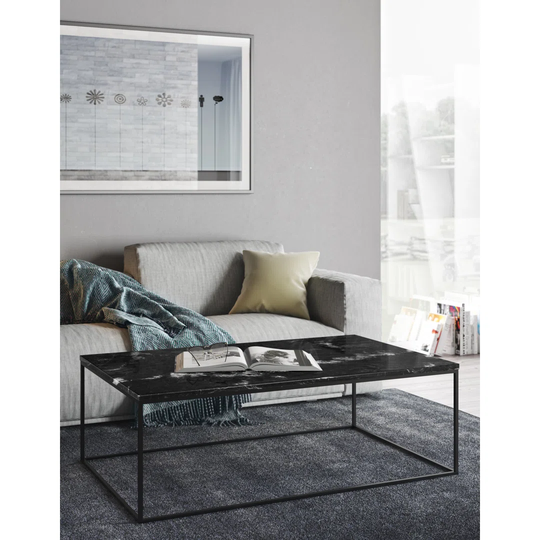 Tonya 2 Piece Coffee Table Set